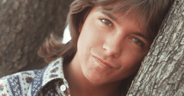 David Cassidy