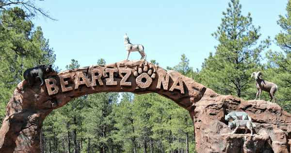 Bearizona