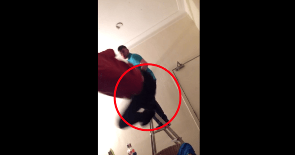 ladder prank