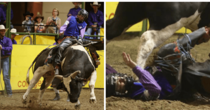 Bull riding accident