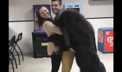 puppy hugs owner