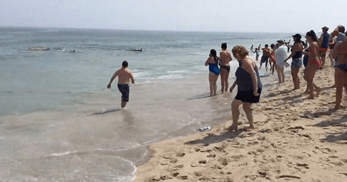 Cape Cod shark