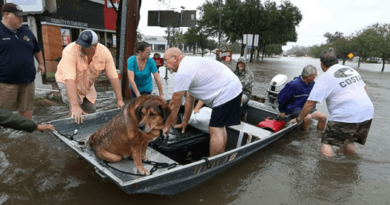 Hurricane Harvey