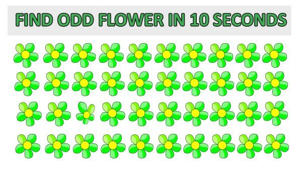 Flower Puzzle