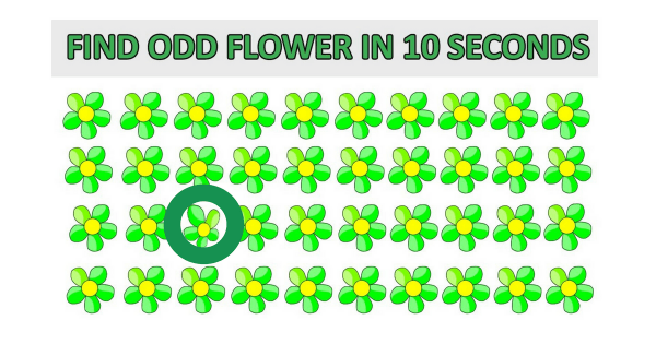 Flower Puzzle