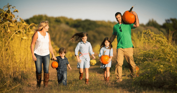 tick bite pumpkin patch