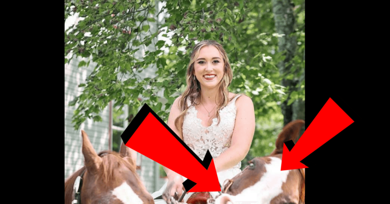 horse steals a bride's spotlight