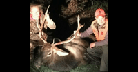 14 year old shot elk