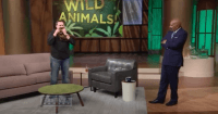 Steve Harvey animals