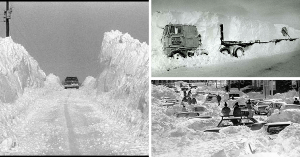 Blizzard of 1978