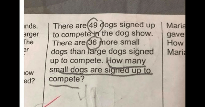 dog math problem