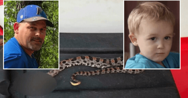 grandpa saves grandson rattlesnake