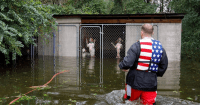 hurricane florence dog rescue