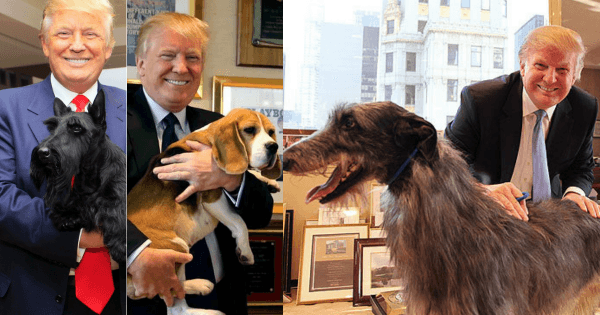 Donald Trump dogs