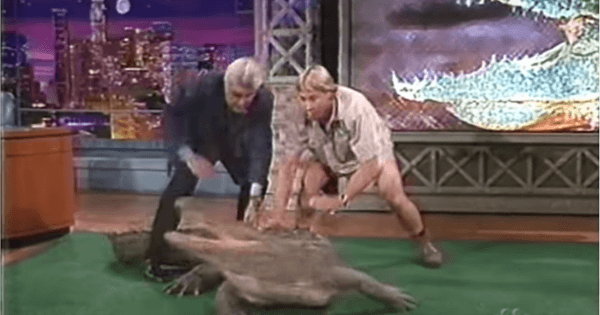 steve irwin jay leno tonight show