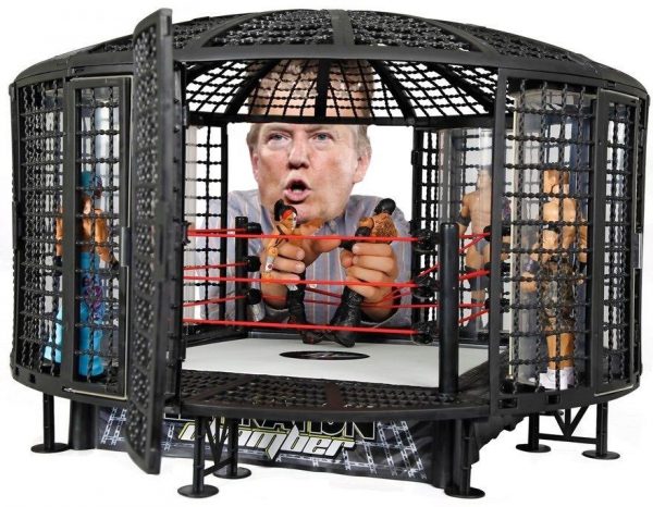 trump wwe