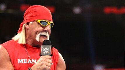 Hulk Hogan New Look