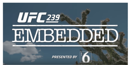 UFC 239