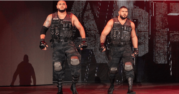 Authors Of Pain