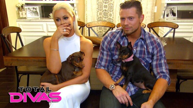 WWE Superstars Enjoying Time With Their Adorable Dogs (Photos)