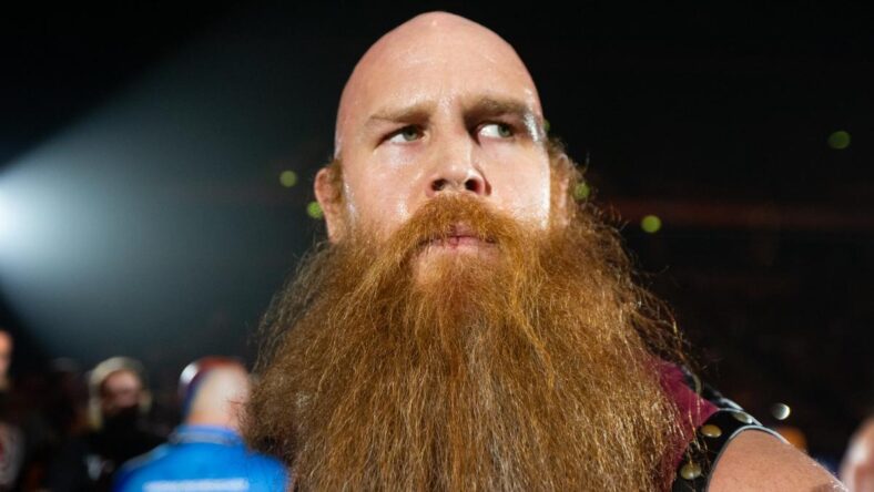 Current WWE Superstars With The Most Epic Beards (Photos)