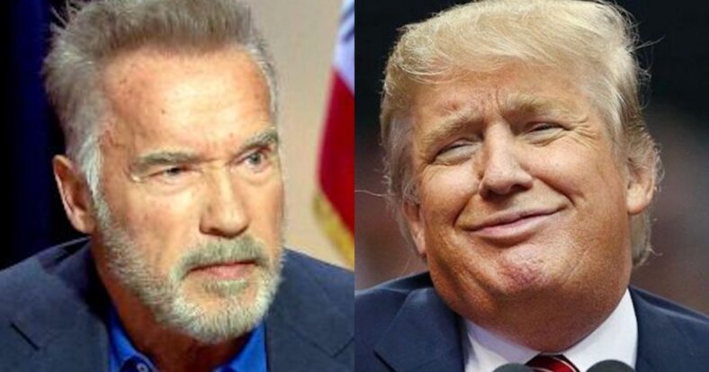 In a new interview, former California Governor Arnold Schwarzenegger insists that President Donald Trump is in love with him.