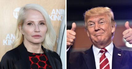 "Animal Kingdom" actress Ellen Barkin resorted to bullying Trump supporters to get her point across - calling them "dumb" to support a "dumb President".