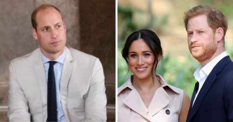 Prince Harry acknowledges a rift with brother Prince William and its cause in a new documentary about his and Meghan Markle's first official trip to Africa.