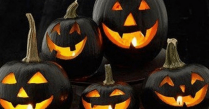 Bed Bath & Beyond pulled black jack-o-lanterns off their shelves after the NAACP and local media whipped up claims of racism by the "blackface" pumpkins.