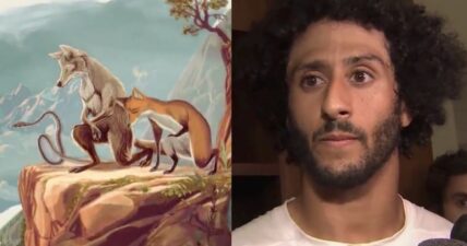 Colin Kaepernick PETA