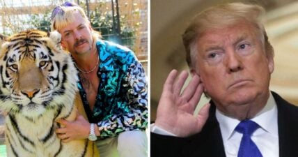 Joe Exotic Tiger King President Donald Trump pardon