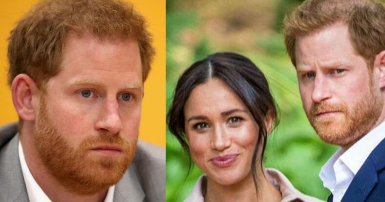 Julie Montagu says Meghan Markle "Americanized" Prince Harry