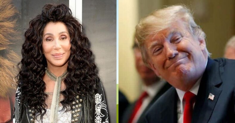 Cher Trump Republicans Twitter rant