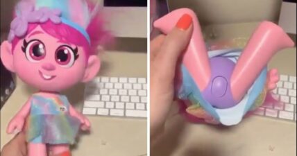 Hasbro Trolls Poppy doll sexual abuse petition