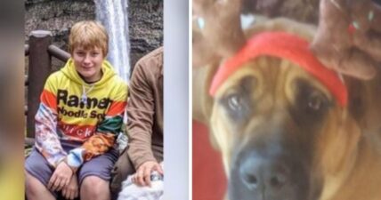 Oregon wildfire victim Wyatt Tofte boy dog rescue