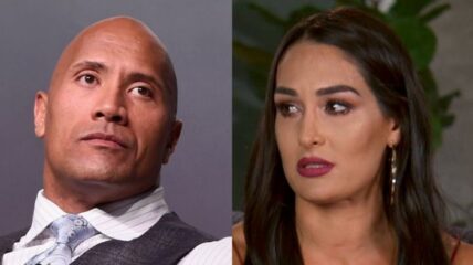 Nikki Bella Dwayne The Rock Johnson book Instagram backlash