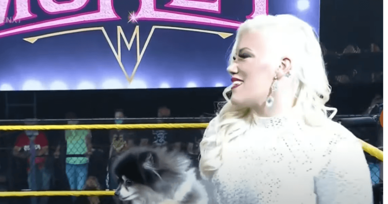 Taya Valkyrie NXT Debut Name And Character