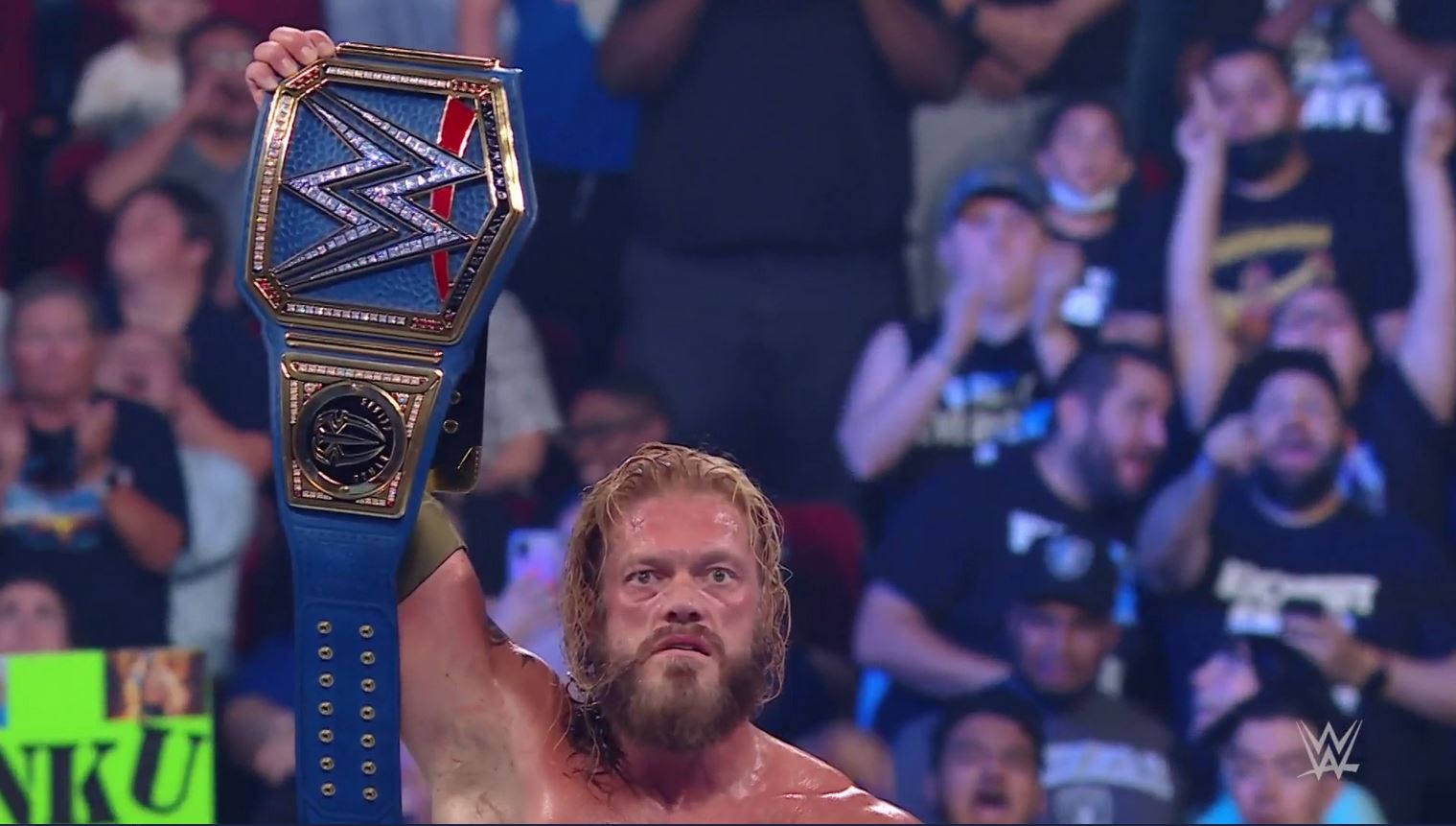nutshell wwe universe