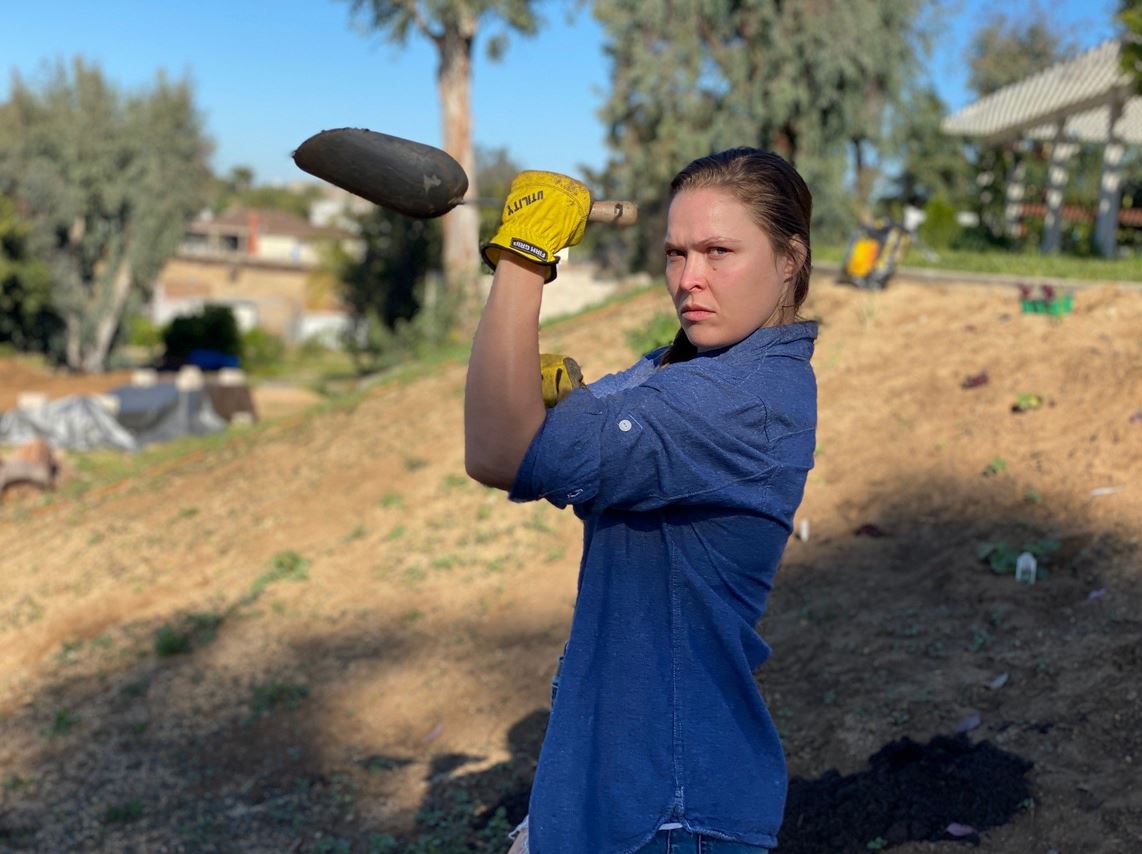 RONDA ROUSEY BRAY WYATT