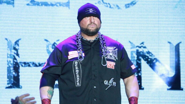 Bully Ray WWE Job