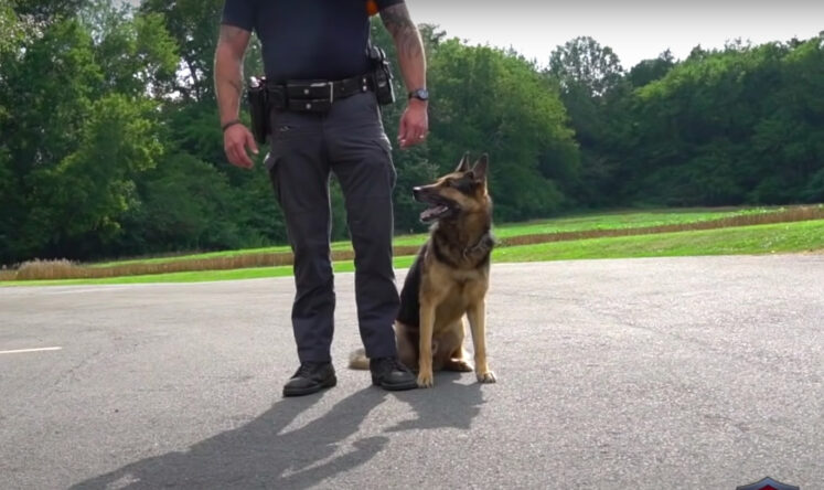 Police Chief K9 Dog Sign