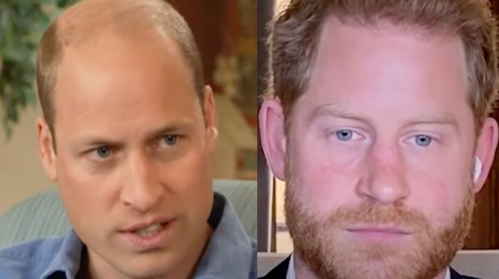 Prince William and Harry relationship