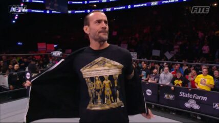 CM Punk Future AEW