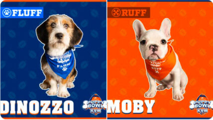 Puppy Bowl