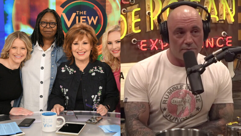 Joe Rogan The View