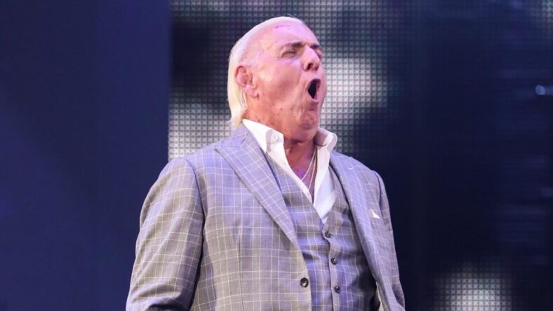 Ric Flair Wrestle Again