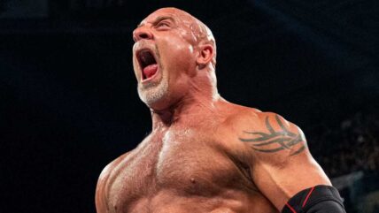 Goldberg Wrestle Again WWE