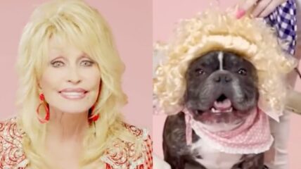 Dolly Parton Doggy Parton