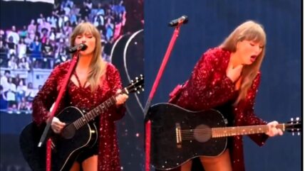 taylor swift bug