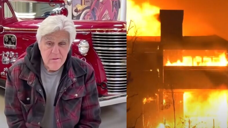Wildfire